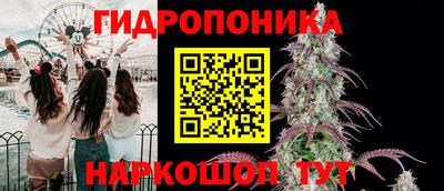 spice Рязань