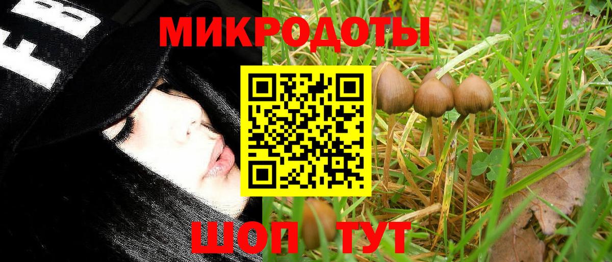 Галлюциногенные грибы мицелий Баксан