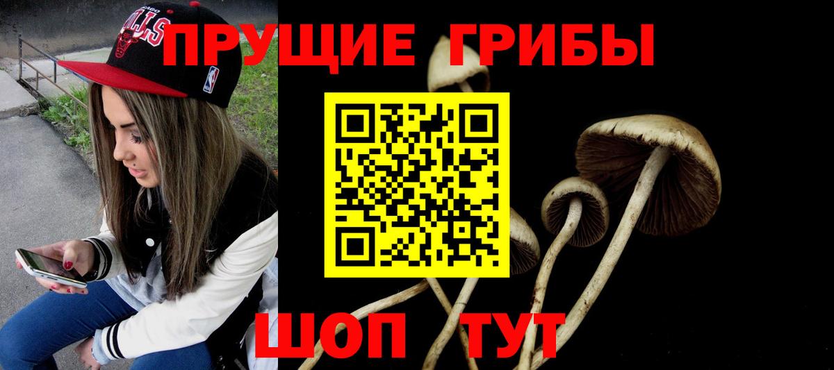 Галлюциногенные грибы Magic Shrooms  Галлюциногенные грибы Psilocybe  где продают   Баксан  Вход с VPN 